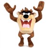Taz Looney Tunes With Backing Card 30cm